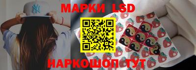 гашик Новокубанск