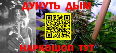 прущие грибы Новозыбков
