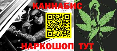 гашик Новокубанск