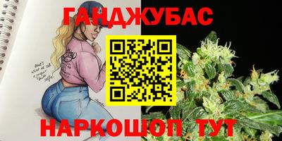 гашик Новокубанск