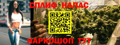 прущие грибы Новозыбков