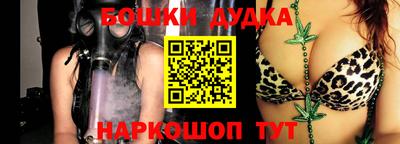 прущие грибы Новозыбков