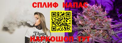 гашик Новокубанск