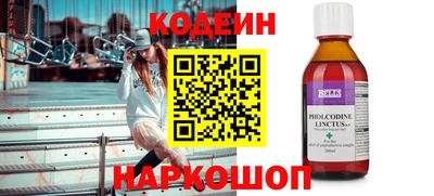 прущие грибы Новозыбков